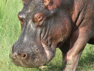 Botswana - Indrukwekkend!
