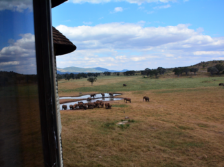Kenia - room with a view !!!