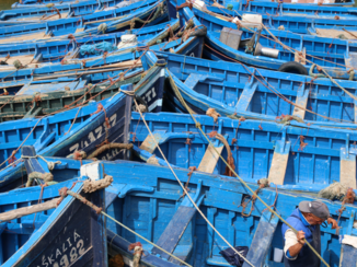 Marokko - De vis is binnen