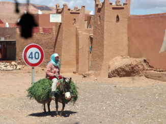 Marokko - na het werk op het land