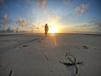 Stranden van Zanzibar - Sunrise Paje