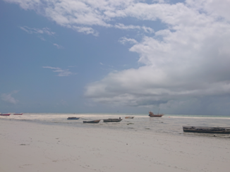 Stranden van Zanzibar - Eb in Paje
