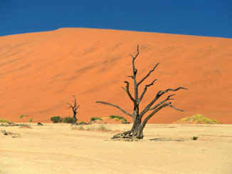Sossusvlei - Sossusvlei, dal