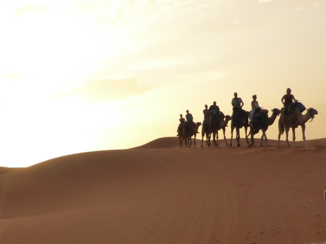 Rondreis Marokko koningssteden en zandduinen - Zonsopgang in de woestijn.