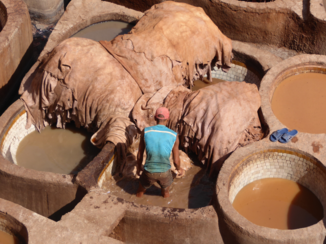 Rondreis Marokko koningssteden en zandduinen - Leerloierij.