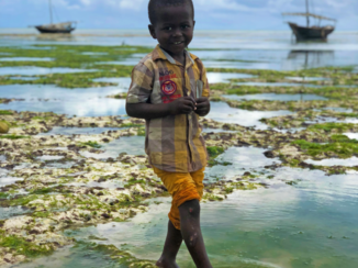Stranden van Zanzibar - Let's play!?