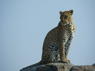 Serengeti National Park