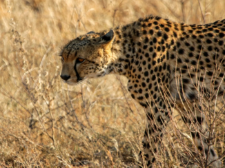 Serengeti National Park