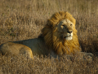 Serengeti National Park