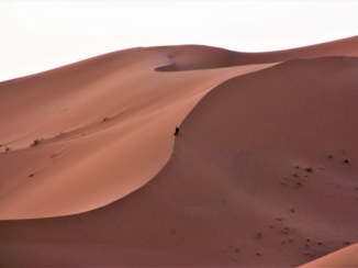 Rondreis hoogtepunten Marokko - zonsopkomst in de Sahara