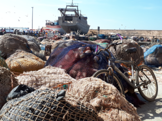 Rondreis Marokko koningssteden en zandduinen
