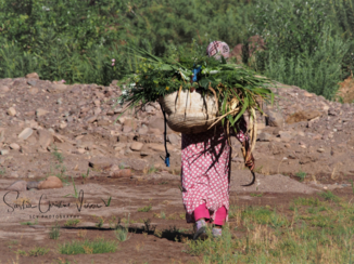 Rondreis hoogtepunten Marokko - Op weg