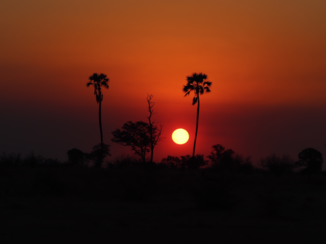 Okavango Delta - Zonsondergang