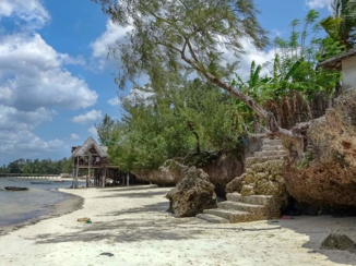 Tanzania - Strand op Zanzibar