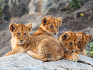 Serengeti National Park