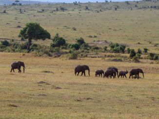 Kenia