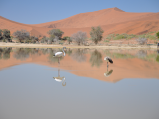 Namibië - Sossusvlei