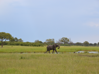 Botswana
